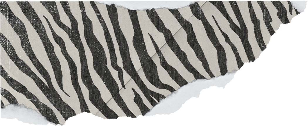 Textured Zebra Print Scrap