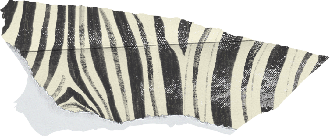 Textured Zebra Print Scrap